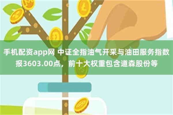 手机配资app网 中证全指油气开采与油田服务指数报3603.00点，前十大权重包含道森股份等