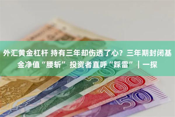 外汇黄金杠杆 持有三年却伤透了心？三年期封闭基金净值“腰斩” 投资者直呼“踩雷”︱一探