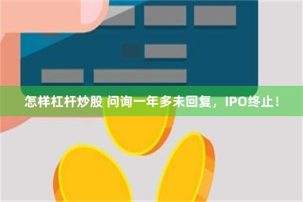 怎样杠杆炒股 问询一年多未回复，IPO终止！