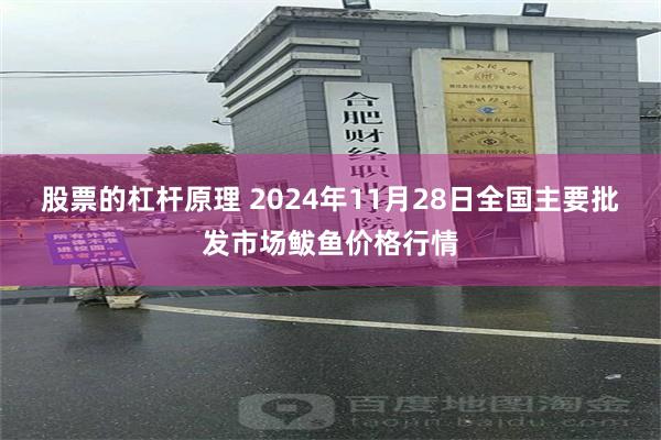 股票的杠杆原理 2024年11月28日全国主要批发市场鲅鱼价格行情