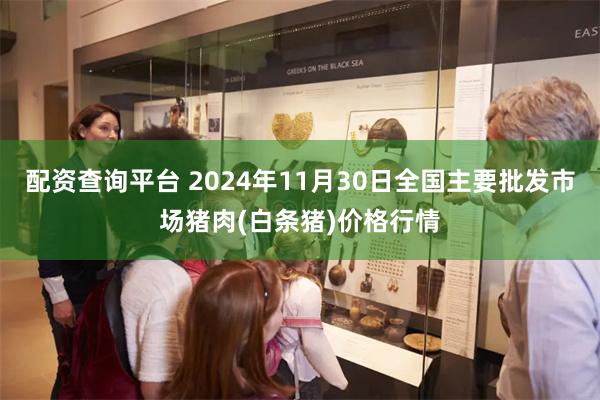 配资查询平台 2024年11月30日全国主要批发市场猪肉(白条猪)价格行情