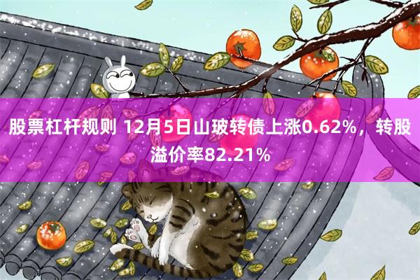 股票杠杆规则 12月5日山玻转债上涨0.62%，转股溢价率82.21%