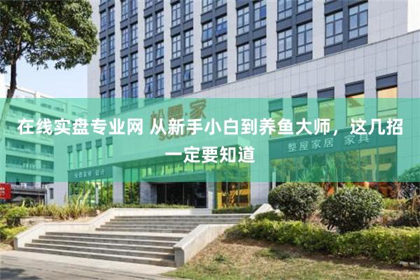 在线实盘专业网 从新手小白到养鱼大师，这几招一定要知道