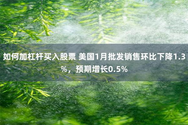 如何加杠杆买入股票 美国1月批发销售环比下降1.3%，预期增长0.5%