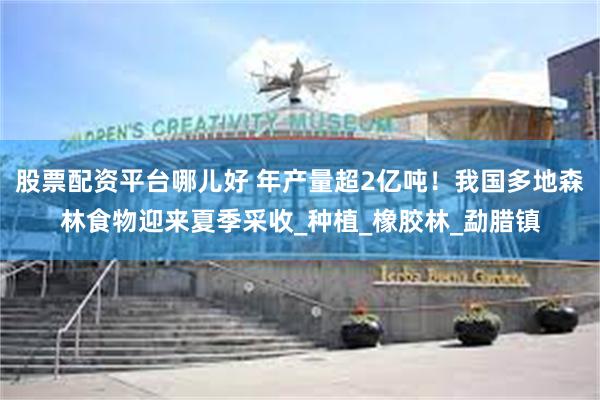 股票配资平台哪儿好 年产量超2亿吨！我国多地森林食物迎来夏季采收_种植_橡胶林_勐腊镇